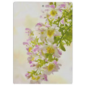 Vloerbeugels Klembord (Achterkant)