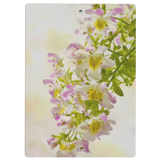 Vloerbeugels Klembord (Achterkant)