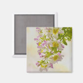 Vloerbeugels Magneet (Voorkant / Achterkant)