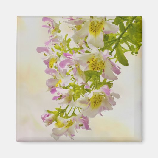 Vloerbeugels Magneet (Voorkant)