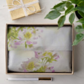 Vloerbeugels Tissuepapier (Geschenk)