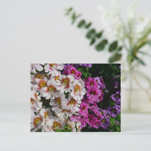 Vloerbeugels Witte roze en Paarse vlinder Briefkaart (Staand voorkant)