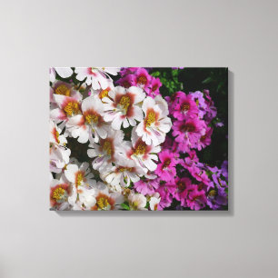 Vloerbeugels Witte roze en Paarse vlinder Canvas Afdruk