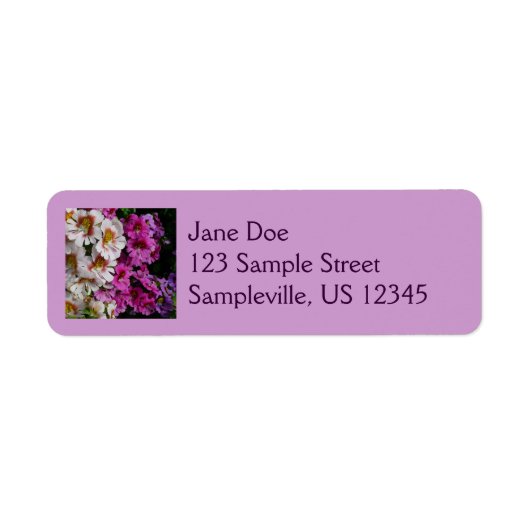 Vloerbeugels Witte roze en Paarse vlinder Etiket (Voorkant)