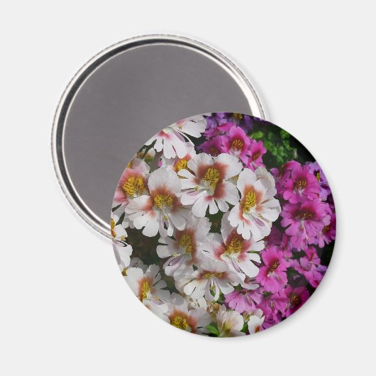 Vloerbeugels Witte roze en Paarse vlinder Magneet (Voorkant / Achterkant)