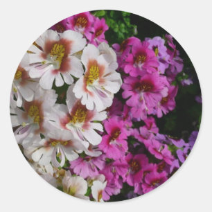 Vloerbeugels Witte roze en Paarse vlinder Ronde Sticker