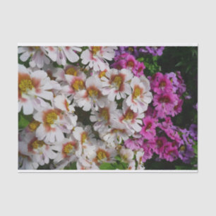 Vloerbeugels Witte roze en Paarse vlinder Tissuepapier