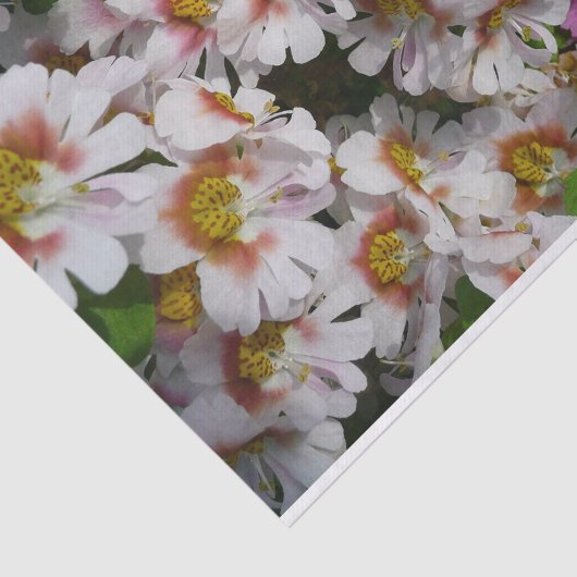 Vloerbeugels Witte roze en Paarse vlinder Tissuepapier (Detail)