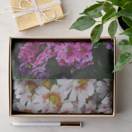 Vloerbeugels Witte roze en Paarse vlinder Tissuepapier (Geschenk)