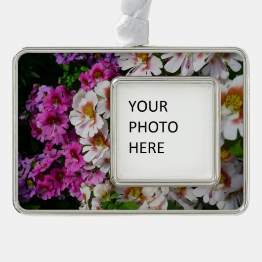 Vloerbeugels Witte roze en Paarse vlinder Verzilverd Omlijst Ornament (Voorkant)