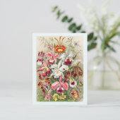 Vloerbloem met botanische Briefkaart (Staand voorkant)