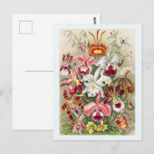 Vloerbloem met botanische Briefkaart (Voorkant / Achterkant)