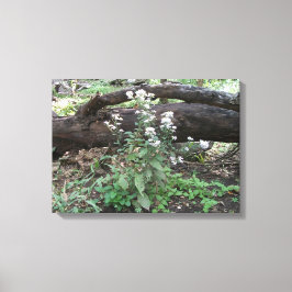 Vloerbloemen en Afdruk met rooster Canvas Afdruk