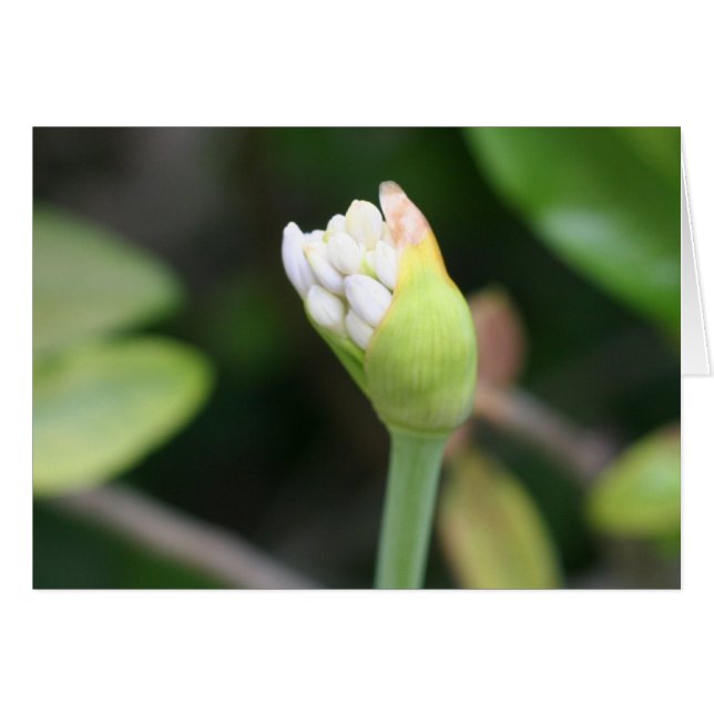 Vloerbuis blanco binnenzijde (Voorkant Horizontaal)