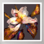 Vloerdans Poster (Voorkant)