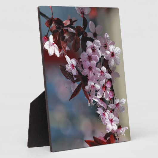 Vloerdecoratieve kersboom fotoplaat (Zijkant)