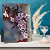 Vloerdecoratieve kersboom fotoplaat (Zijkant)