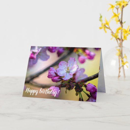 Vloeren en knoppen van Sakura in de schaduw van ee Kaart (Gele Bloem)