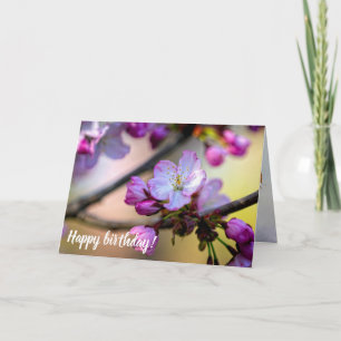 Vloeren en knoppen van Sakura in de schaduw van ee Kaart