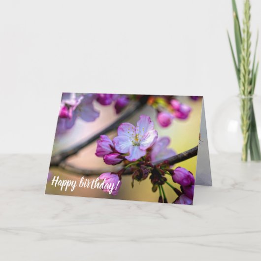 Vloeren en knoppen van Sakura in de schaduw van ee Kaart (Voorkant)