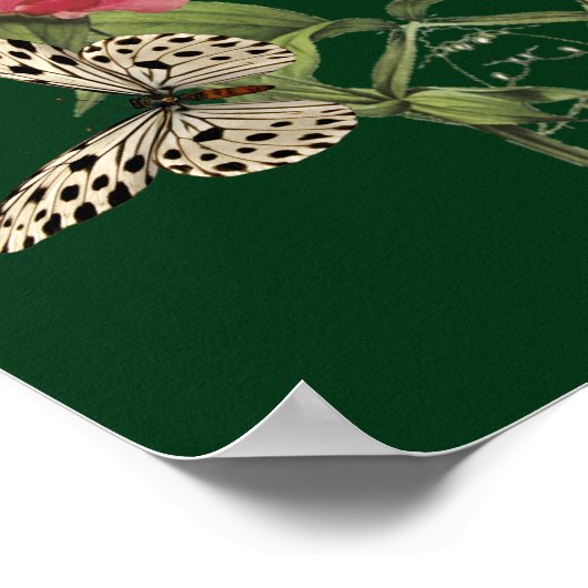 Vloeren en Posters van zoete veensten (Hoek)