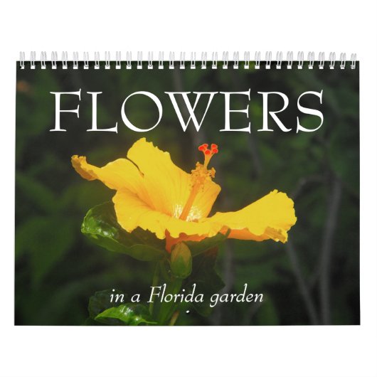 VLOEREN in een tuin van Florida... Kalender (Hoes)