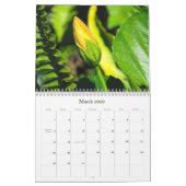 VLOEREN in een tuin van Florida... Kalender (Mar 2026)