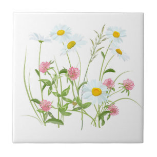 Vloergebied   Aangepaste keramische tapijten Tegeltje