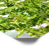 Vloergebied met spoorstaafkop poster (Hoek)