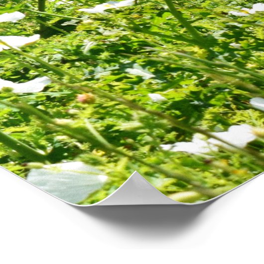 Vloergebied met spoorstaafkop poster (Hoek)