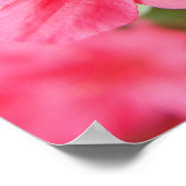 Vloerhaar Poster (Hoek)