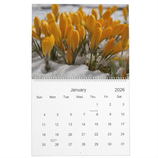Vloerkalender nr. 4 - HAMbyWG Kalender (Jan 2026)