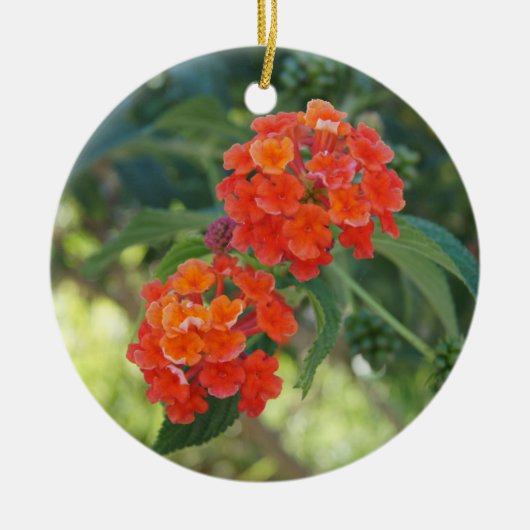 Vloerkracht en Natuur, versiering - Red Lantanas Keramisch Ornament (Voorkant)