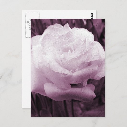 Vloerkunst Briefkaart (Voorkant / Achterkant)