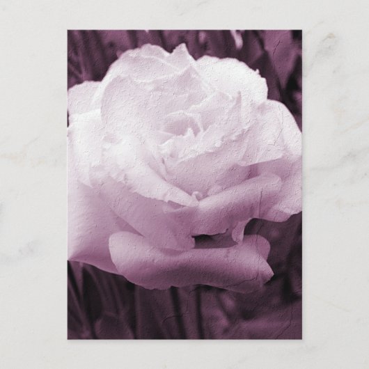 Vloerkunst Briefkaart (Voorkant)