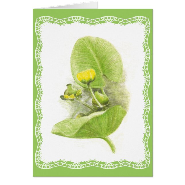 Vloerlappen (Voorkant)