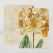  Vloerolie, geel verven Briefkaart (Voorkant / Achterkant)