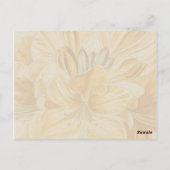  Vloerolie, geel verven Briefkaart (Achterkant)