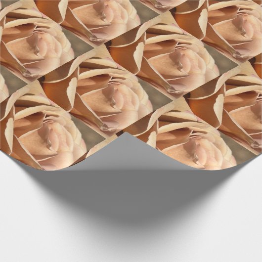 Vloerpapier Cadeaupapier (Hoek)