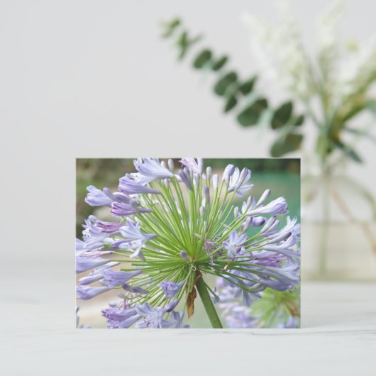 Vloerpostkaart Briefkaart (Staand voorkant)