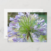 Vloerpostkaart Briefkaart (Voorkant / Achterkant)