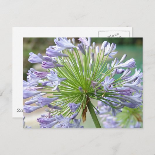 Vloerpostkaart Briefkaart (Voorkant / Achterkant)