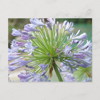 Vloerpostkaart Briefkaart