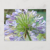 Vloerpostkaart Briefkaart (Voorkant)