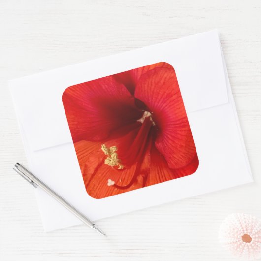 Vloerteller Vierkante Sticker (Envelop)