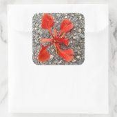 Vloerteller Vierkante Sticker (Tas)