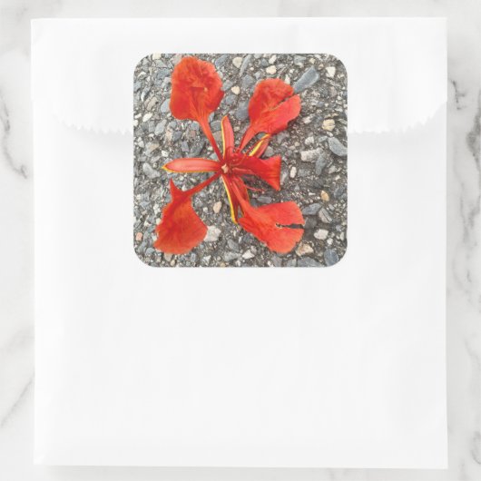 Vloerteller Vierkante Sticker (Tas)