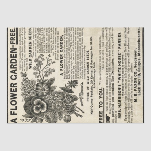 Vloertuin Ephemera Ontmantelingsvaartuig Tissuepapier (Voorkant)