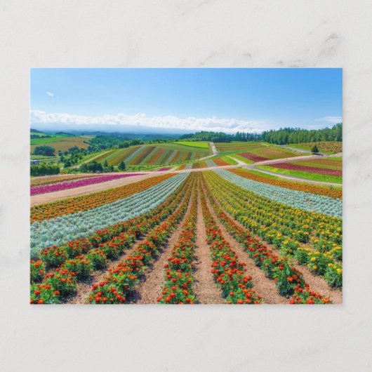 Vloertuin | Shikisai No Oka Flower Boerderij Briefkaart (Voorkant)