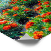 Vloertuin | Shikisai No Oka Flower Boerderij Poster (Hoek)